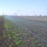 Spray hose SML 6 - 6 - Image 9