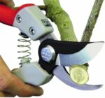 Chikamasa Pruning Shears PSB-8G-CS