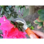 Curved Grape Picking Knife