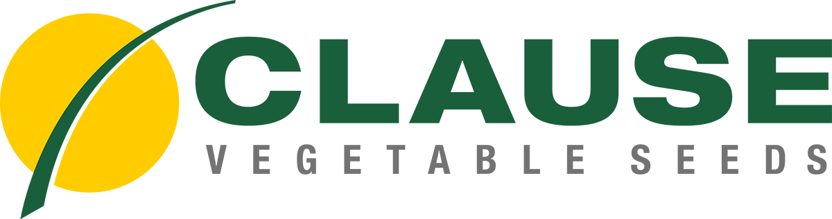 Clause Vegatable Seeds