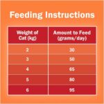 Purina Friskies Adult Cat Food Dry Meaty Grills