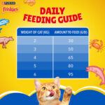 Purina - Friskies Adult Cat Food Dry Seafood