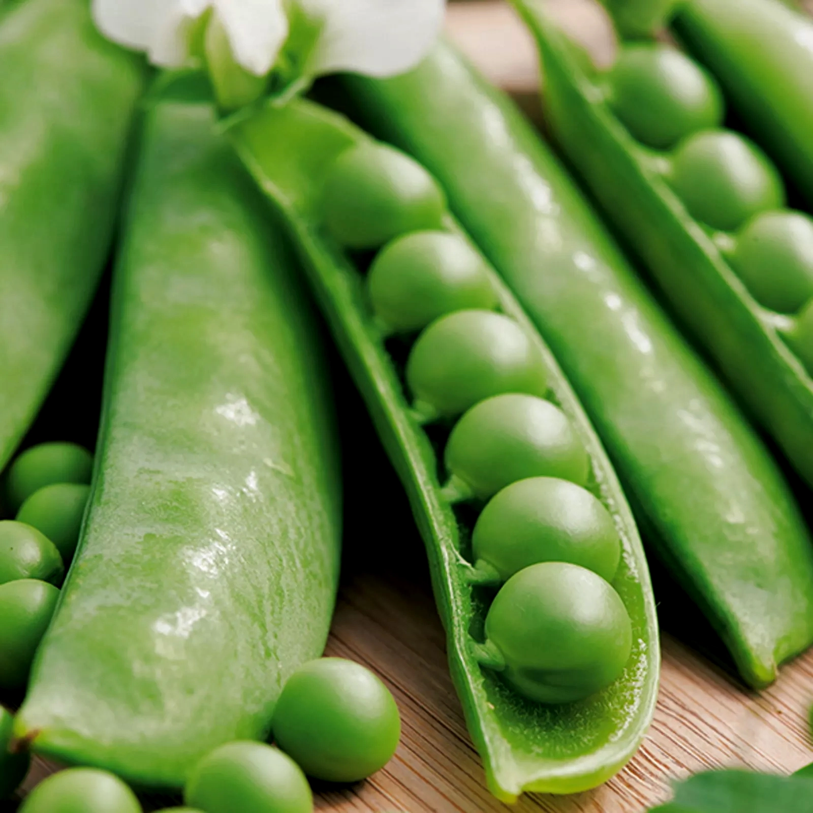 Sugar Snap Peas Seeds Sugar Snap Peas Seeds