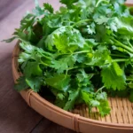 coriander