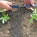 screw to drip tape installation