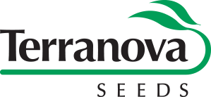 terranova seeds