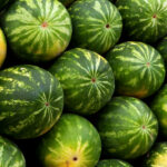 watermelon