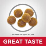 Hills Science Cat Food Dry