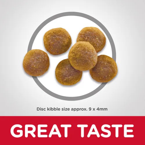 Hills Science Cat Food Dry Hills Science Cat Food Dry