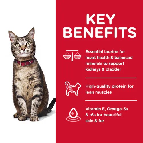 Hills Science Cat Food Dry Hills Science Cat Food Dry