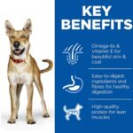 Hills Science Adult Dog Food Wet 370g